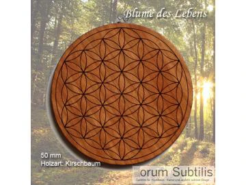 Blume des Lebens