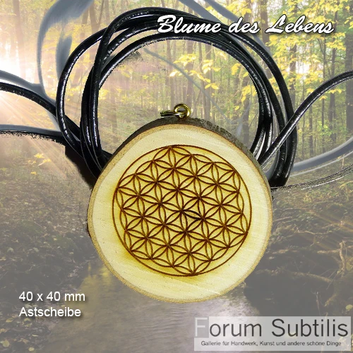 Blume des Lebens