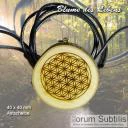 Blume des Lebens