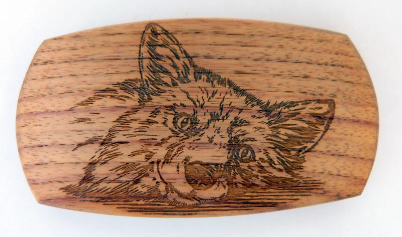 Schließe "Fox"