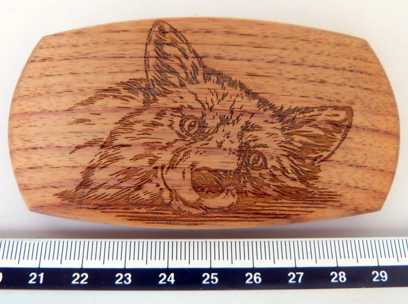 Schließe "Fox"