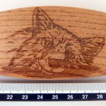 Schließe "Fox"
