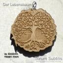 Lebensbaum