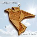 Origami