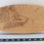 Schließe "Bear"